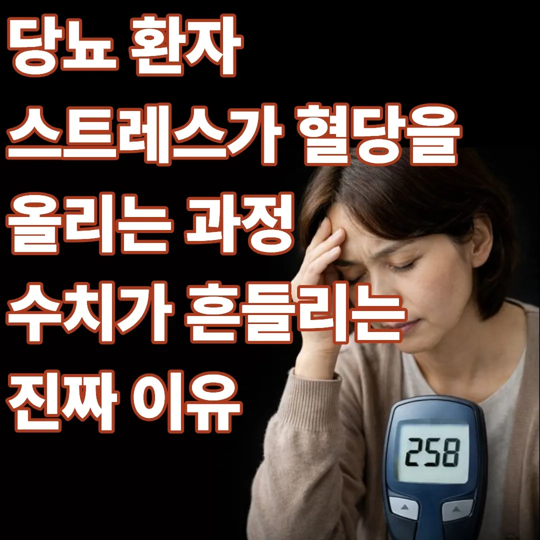 당뇨 환자 스트레스가 혈당을 올리는 과정
수치가 흔들리는 진짜 이유