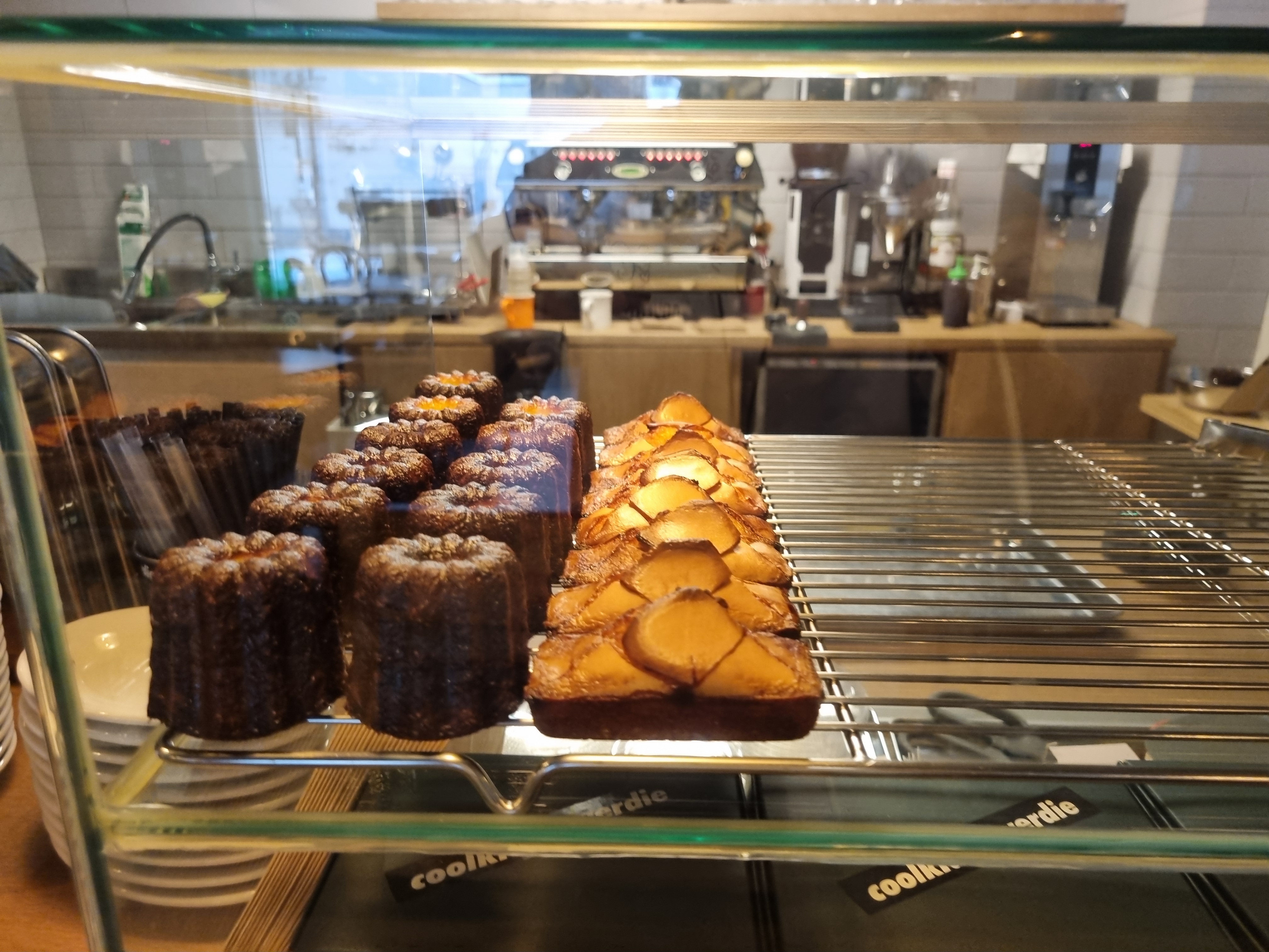 쿨키즈 네버다이