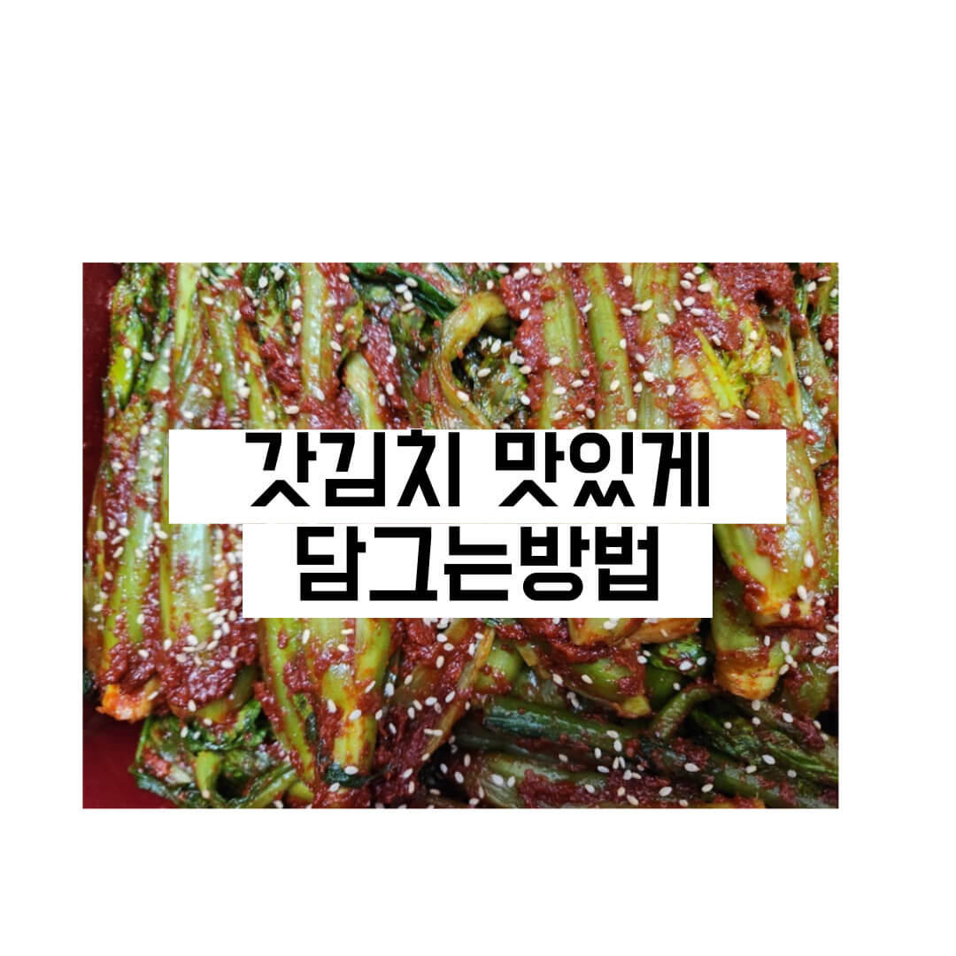 갓김치 담긴 사진