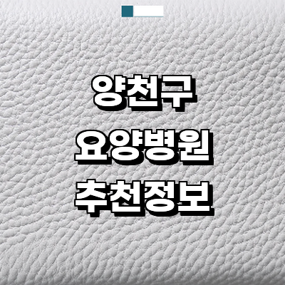 서울 양천구 요양병원