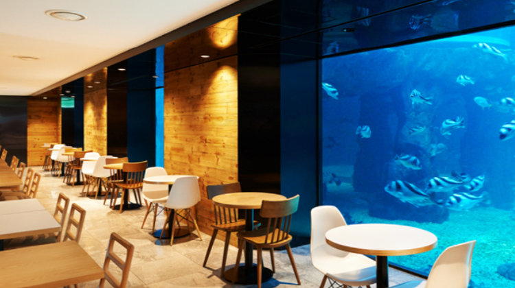 여수 아쿠아리움