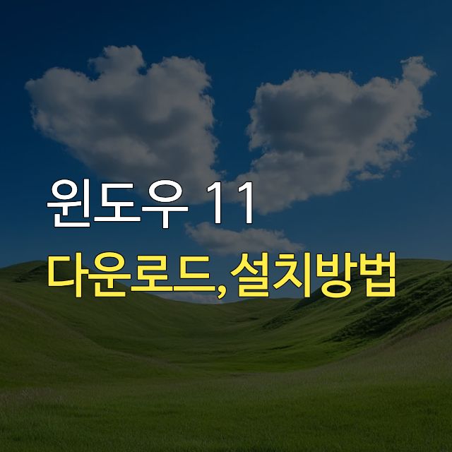 윈도우 11 설치방법