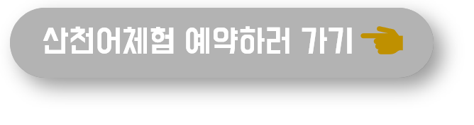 산천어체험 예약하러 가기 버튼