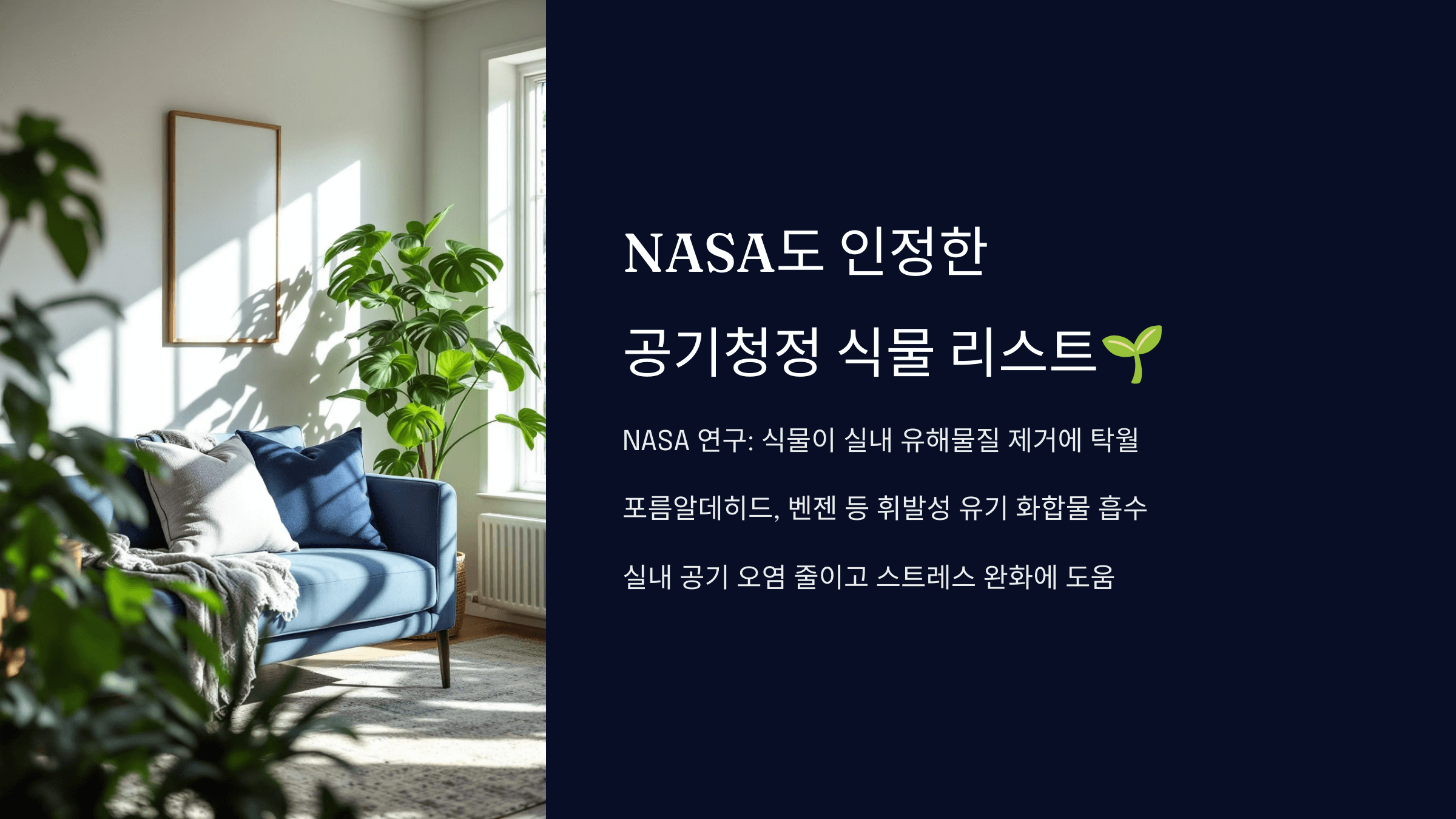 실내 공기 정화 식물 추천 가이드 🌿