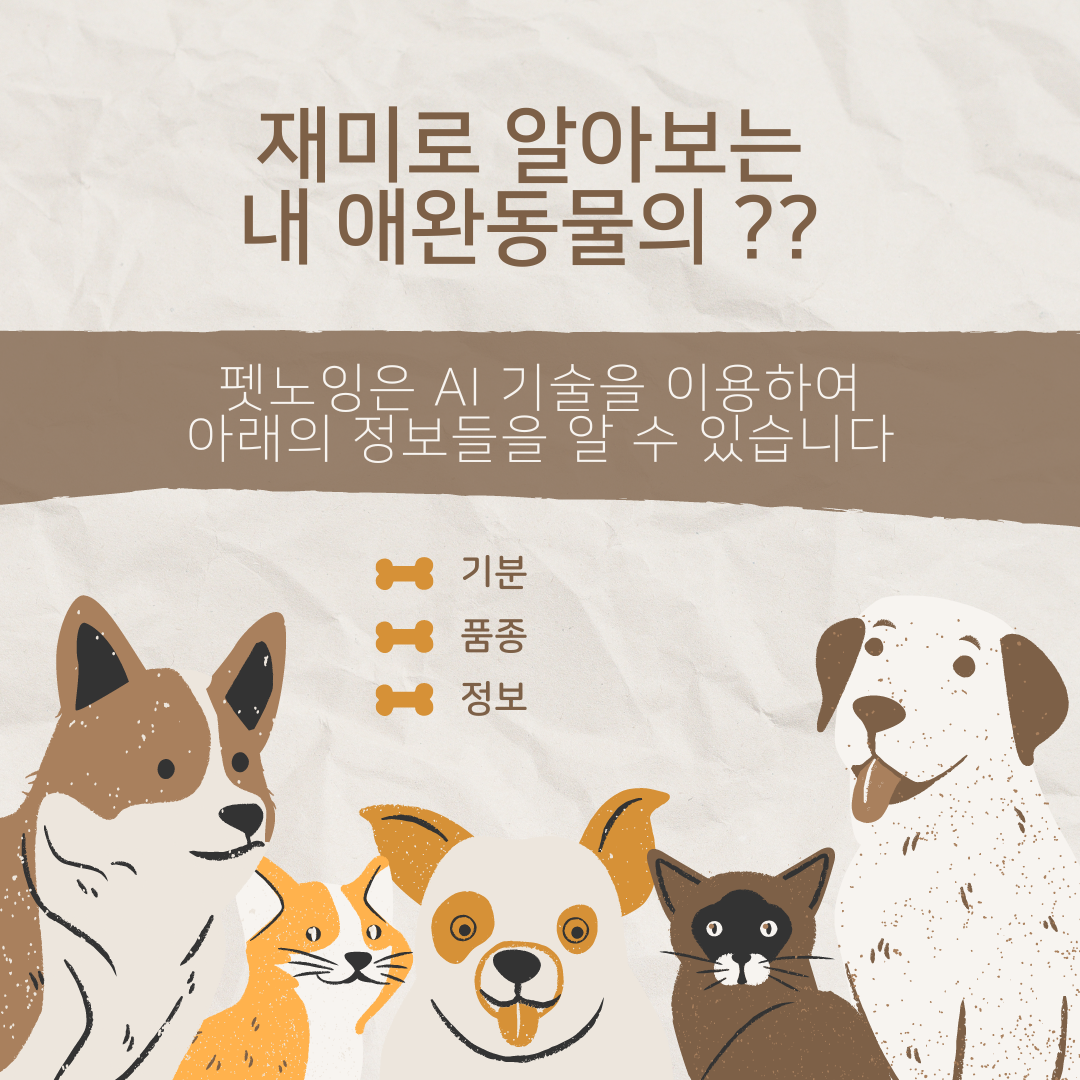펫노잉