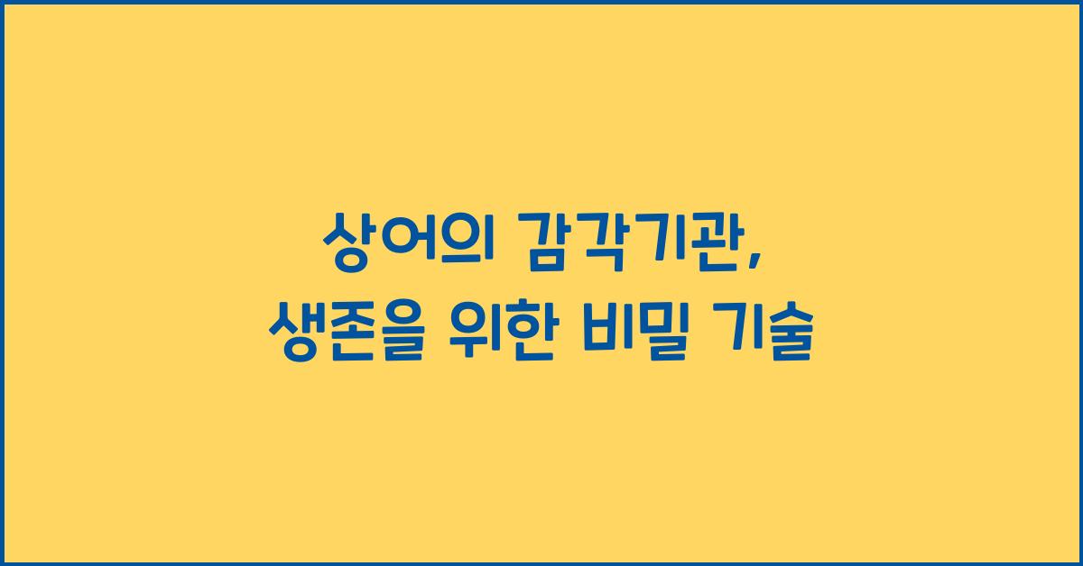 상어의 감각기관