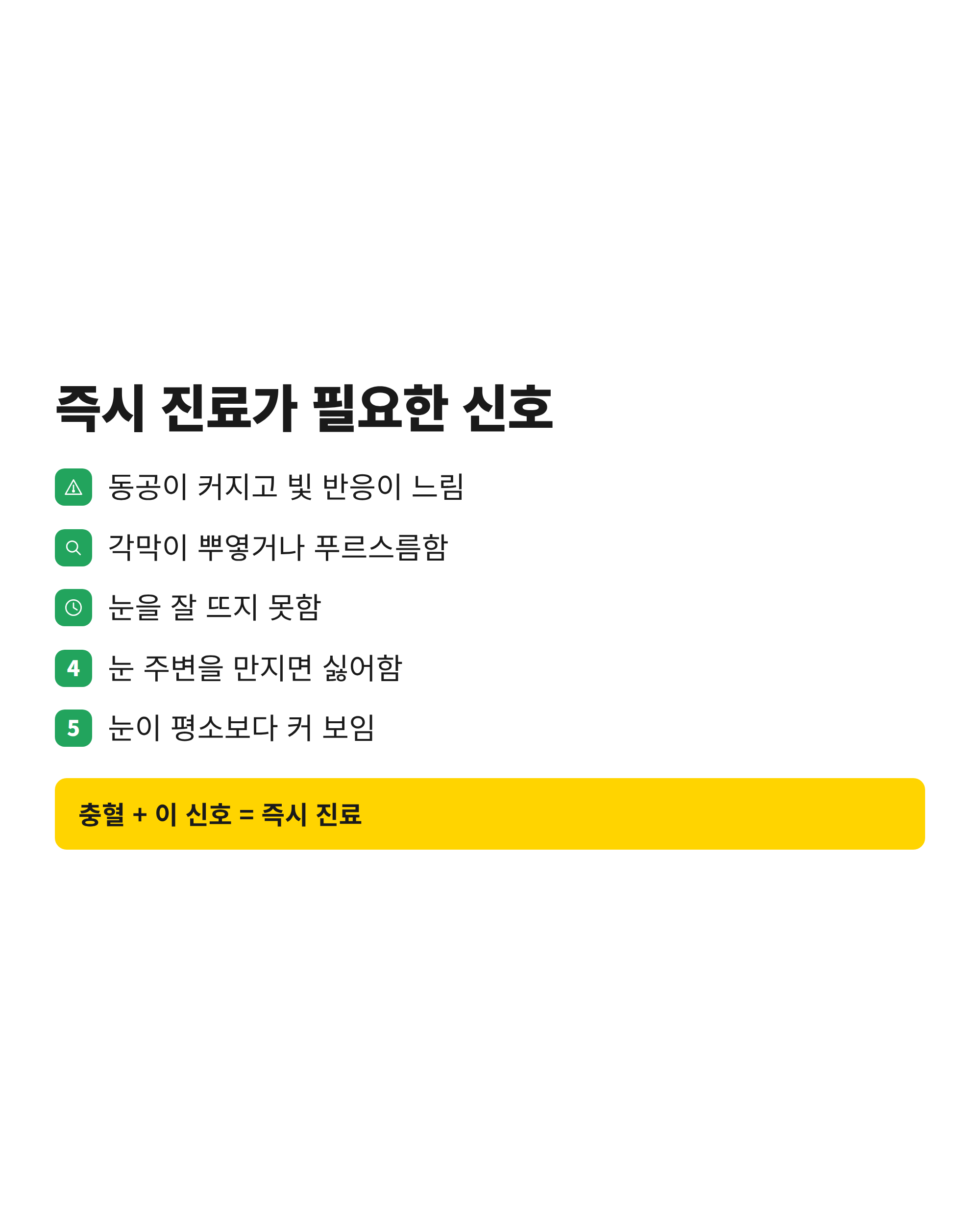 강아지 녹내장을 의심할 수 있는 동공 확대와 각막 혼탁 등 5가지 눈 신호 체크리스트