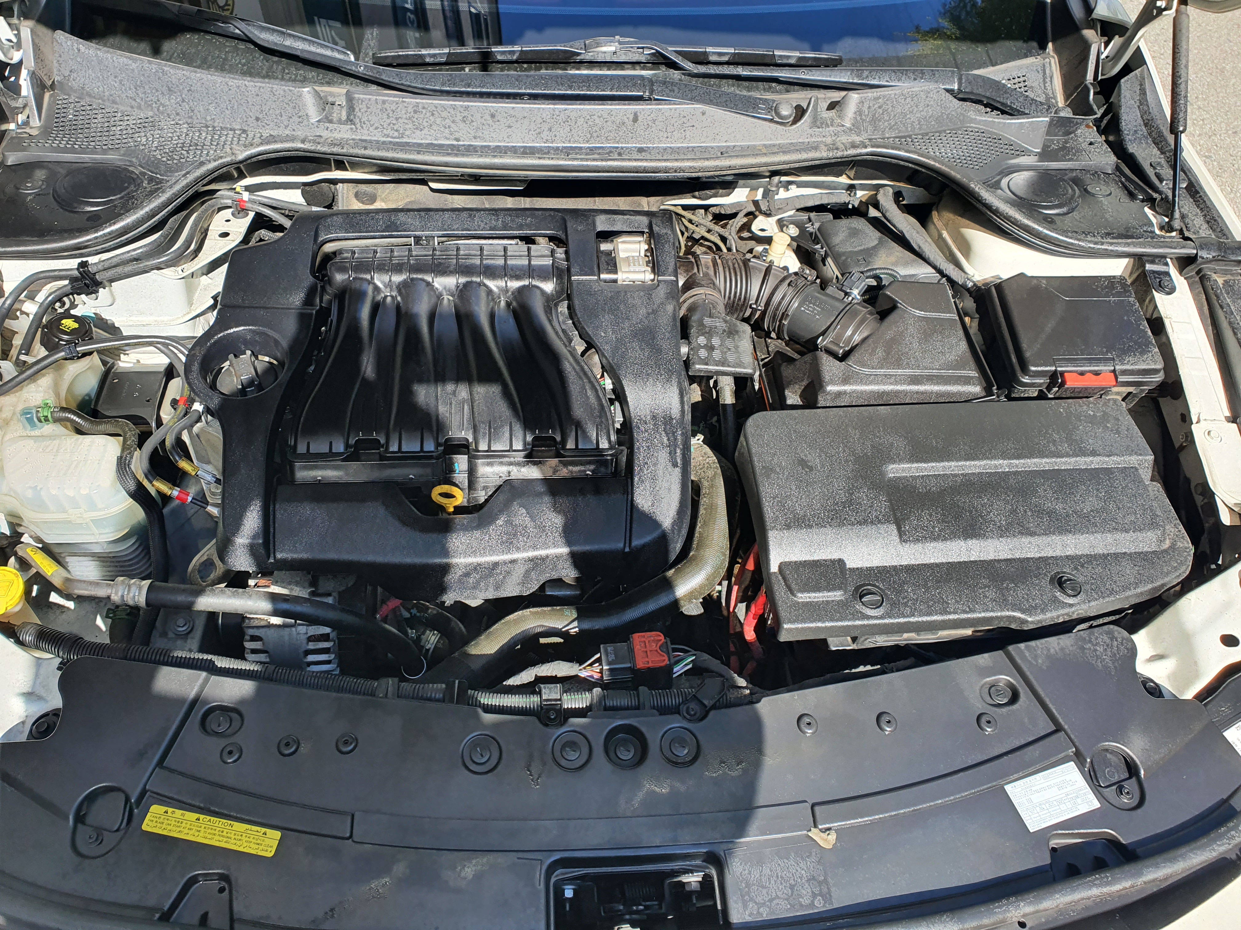 엔진룸 청소는 서비스 받음 ^^