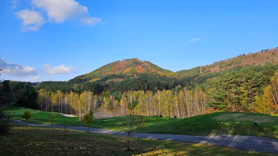 골프장 경험담 모나용평cc 해발 780m 청정 지역의 골프장 용평 리조트