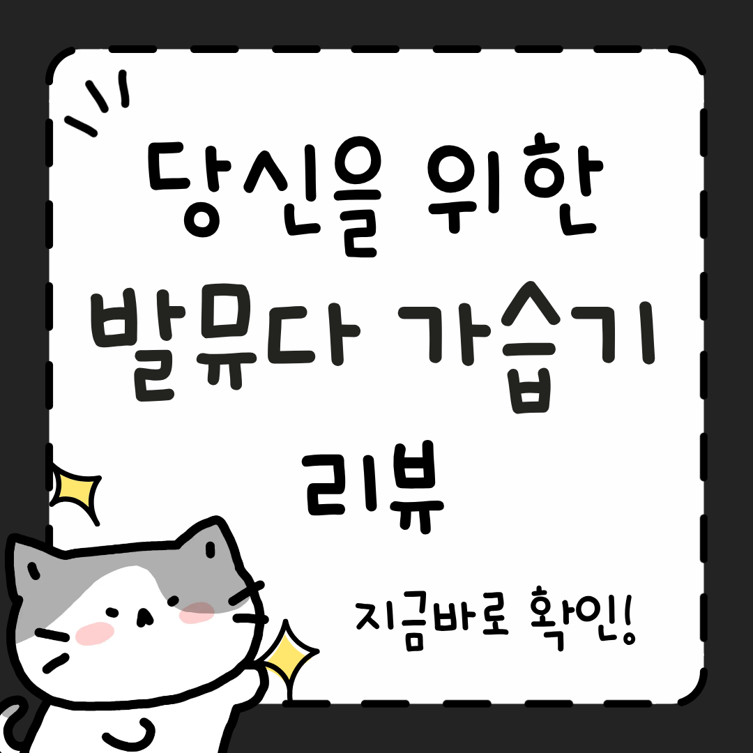 발뮤다 가습기
