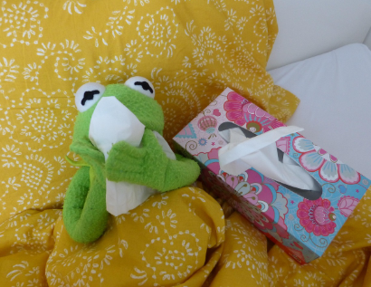 감기 예방에 좋은 식품, 면역력을 높여주는 자연의 선물