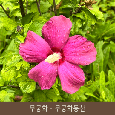 화담숲 예약 (ft. 할인 정보)