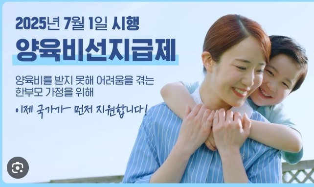 양육비 선지급금 