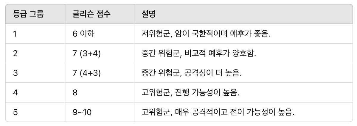 글리슨 점수(Gleason Score): 전립선암의 악성도 평가 기준