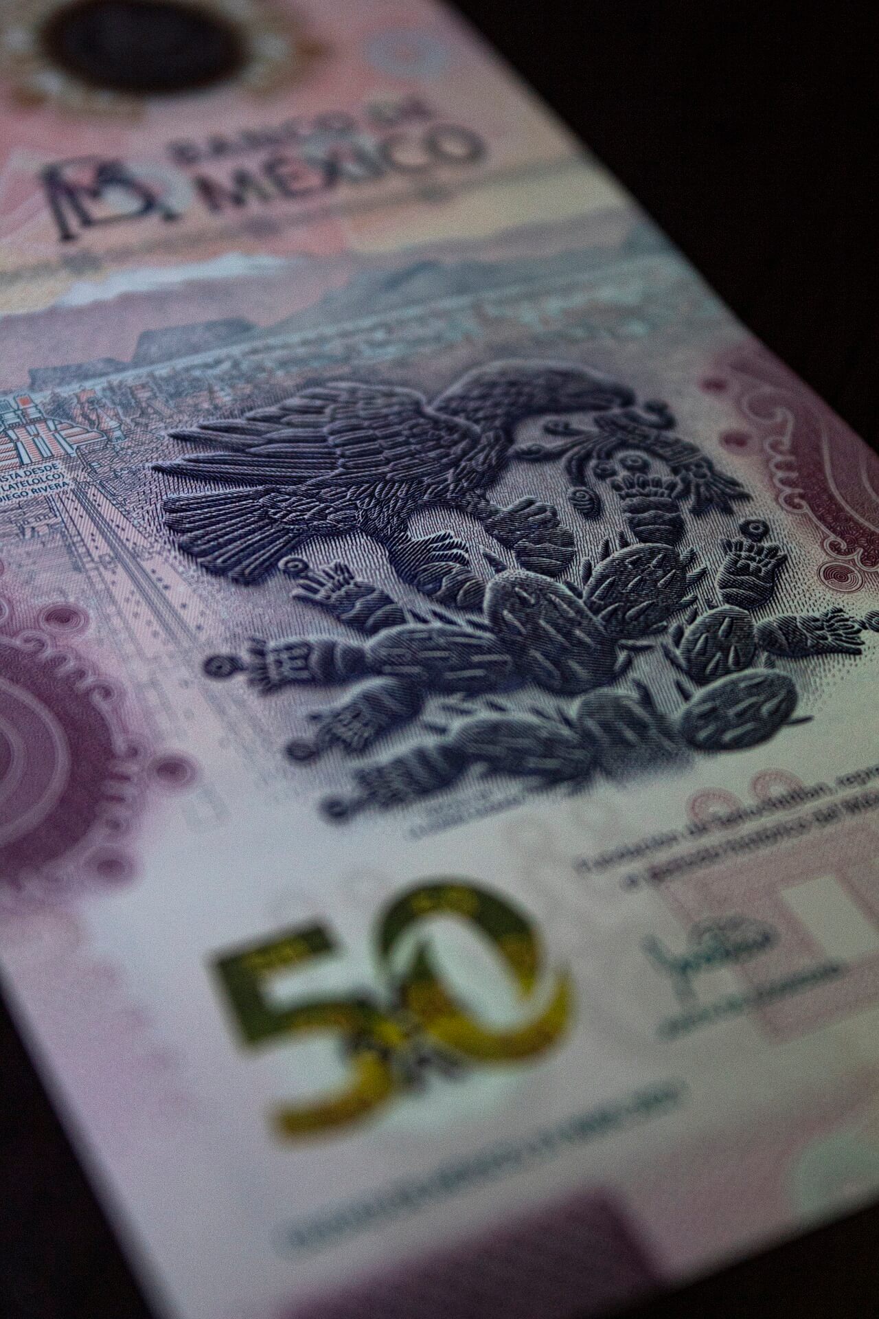 청년 취업지원금