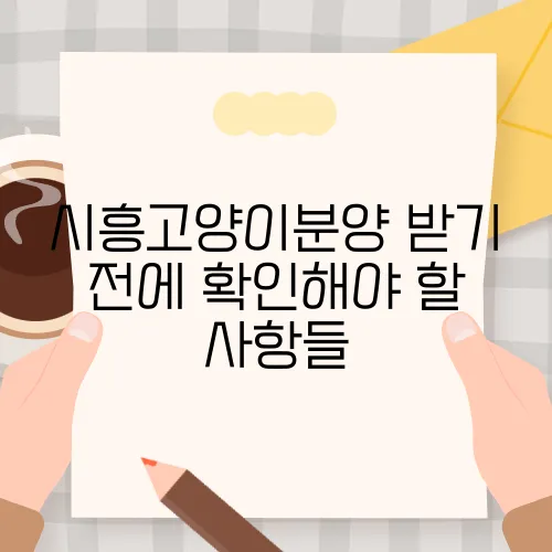 시흥고양이분양 받기 전에 확인해야 할 사항들