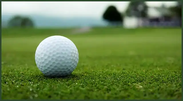 파크골프 공 4피스, 3피스, 2피스 차이점은?