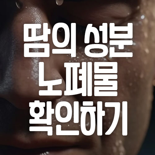 땀 성분 노폐물 종류