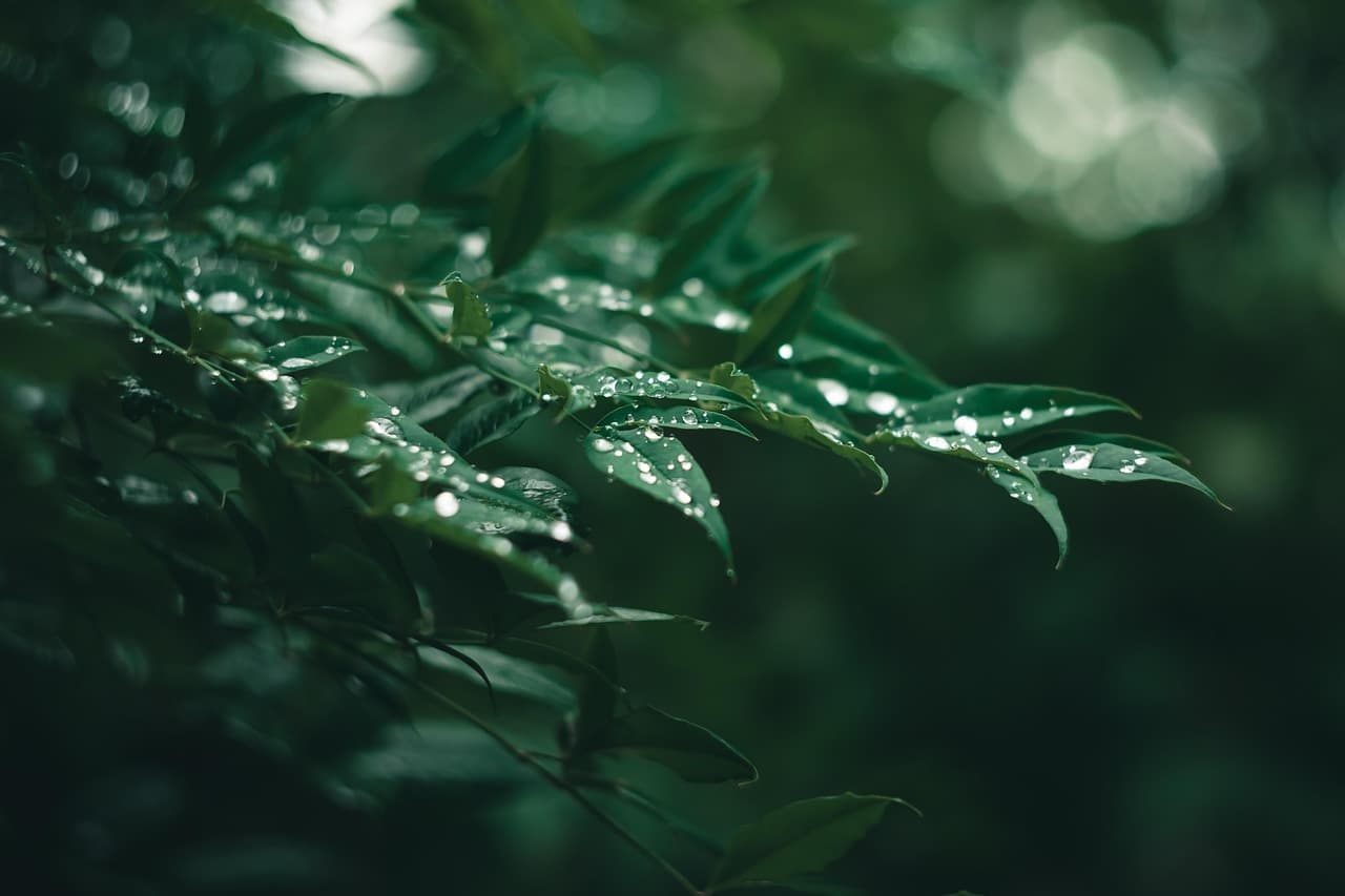 마이크로휴식