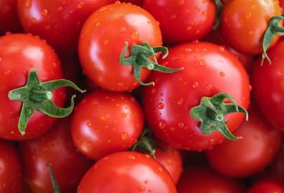 토마토, 생으로 드시나요? 익혀 먹어야 진짜 영양제가 되는 놀라운 이유!