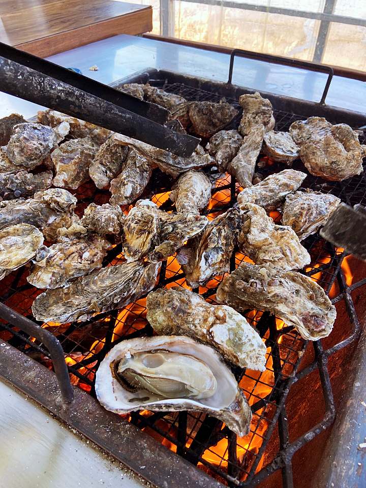 6시내고향 사천 비토섬 장작 굴구이 생굴회 조개구이 따끈따끈한 굴떡국 굴라면 자연산 생굴 전국택배 가능 맛집 오늘 방송 추천 