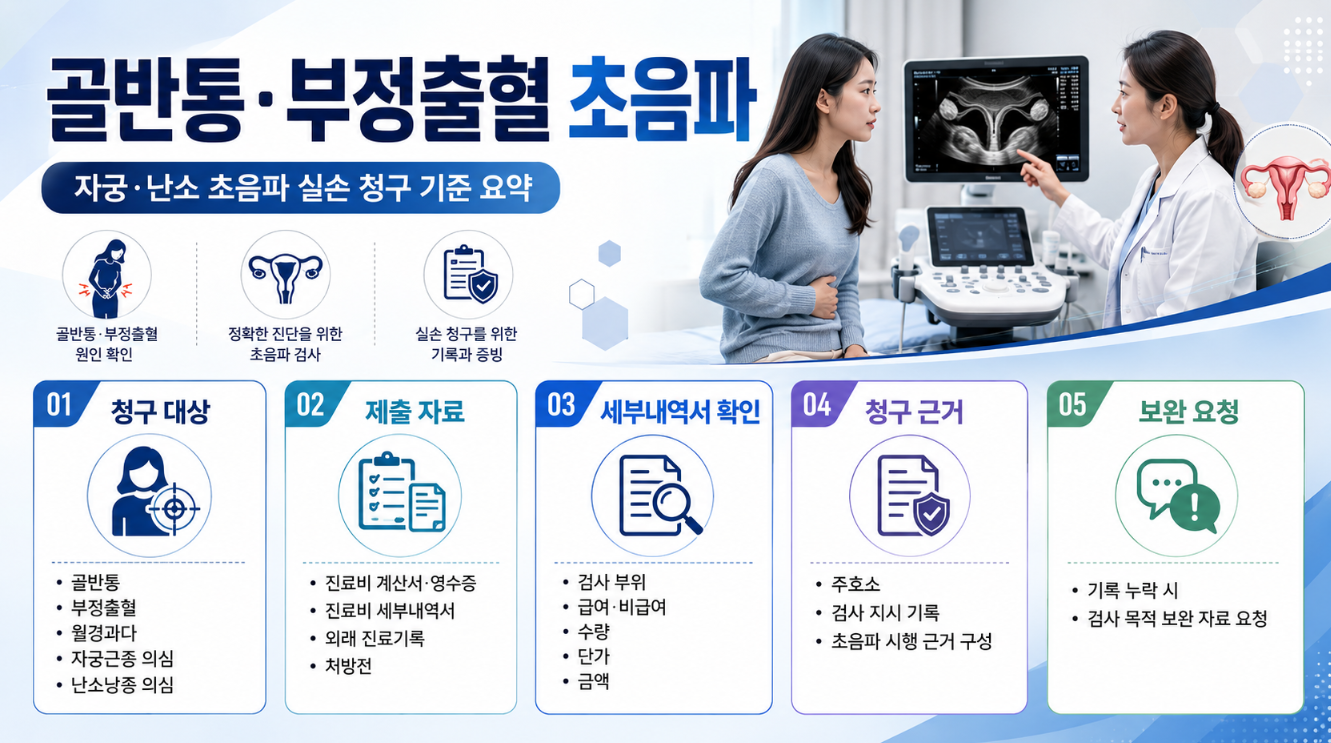 골반통, 부정출혈 초음파 관련 이미지 인포그래픽 디자인