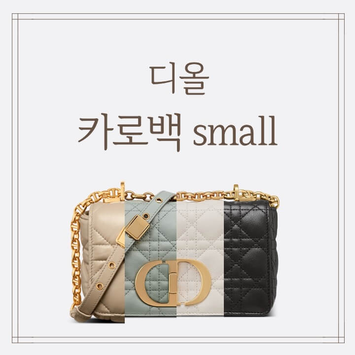 디올 카로 스몰 이미지 (2)