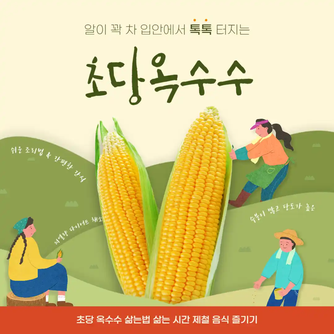 초당 옥수수 삶는법 삶는 방법, 시간 부터 초당 옥수수 요리 효능까지