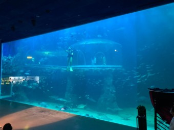 7월 여행지 추천