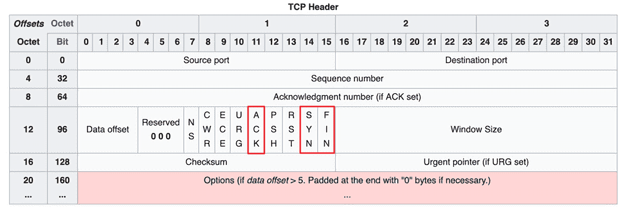 TCP 헤더