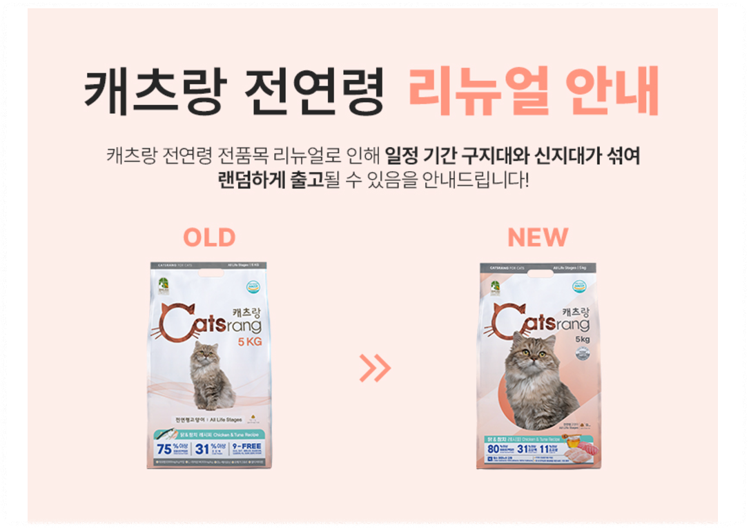 고양이 사료 추천 best 5