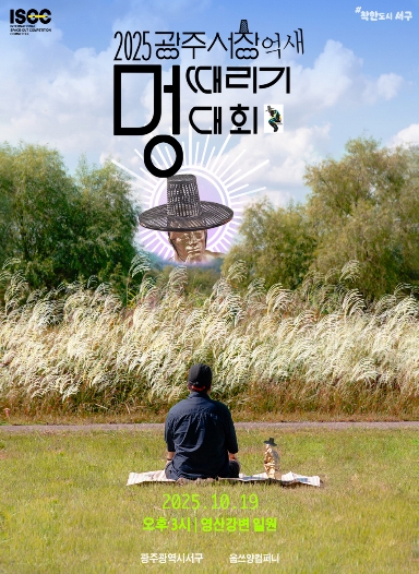 🌾 제12회 광주서창억새축제, 은빛 억새와 노을이 함께하는 가을 힐링 여행 관련이미지