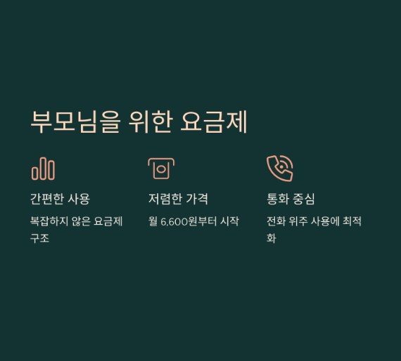 SK 알뜰폰 요금제 총정리