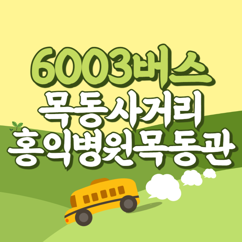 목동사거리.홍익병원목동관에서 인천공항 리무진 공항버스(6003번) 썸네일