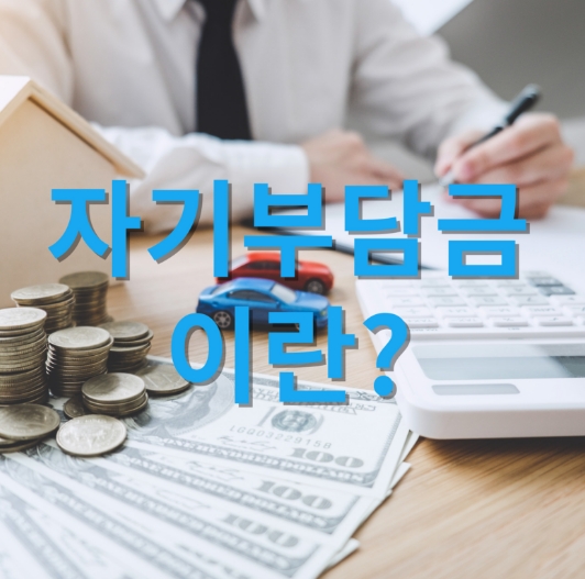 자기부담금이란