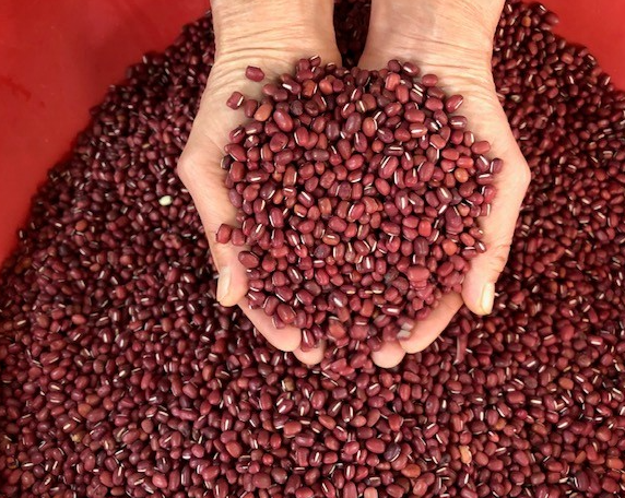 이부자 방갓간 대표 메뉴