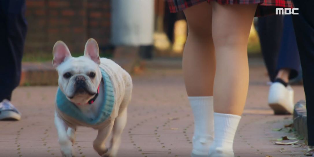 오늘도사랑스럽개_3회