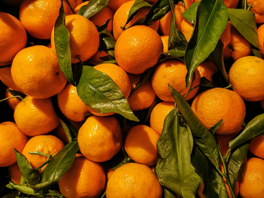 야생에서 채취를 한 귤과 귤잎을 바닥에 수북하게 놓아두고 확대를 하여 찍은 사진