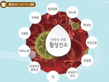 활성산소가 일으키는 병