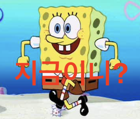 지금이니 짤