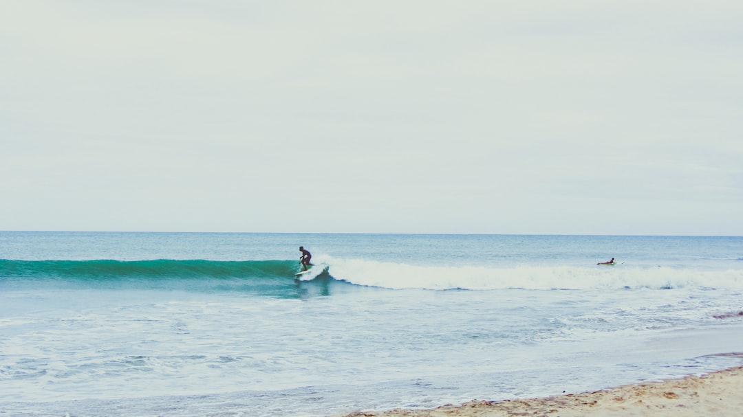 Wave