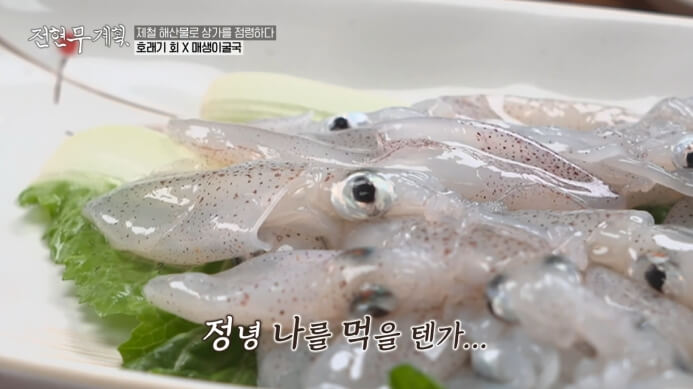 전현무계획-호래기회