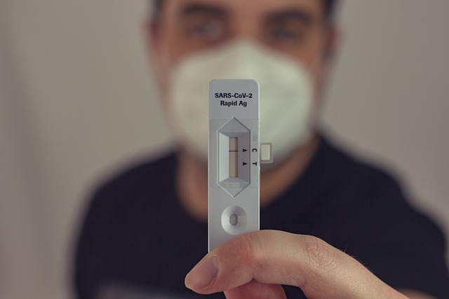 코로나-자가진단-키트