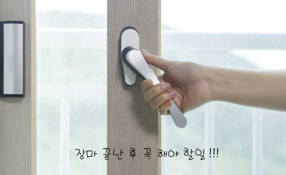 장마 끝나는 시기에 해야 할 일