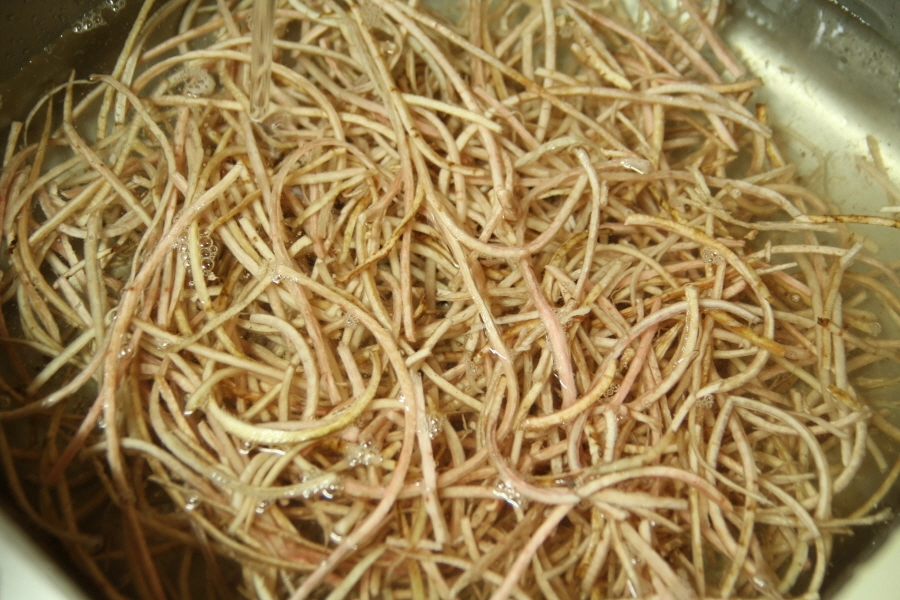 우엉 물에 헹구는 모습