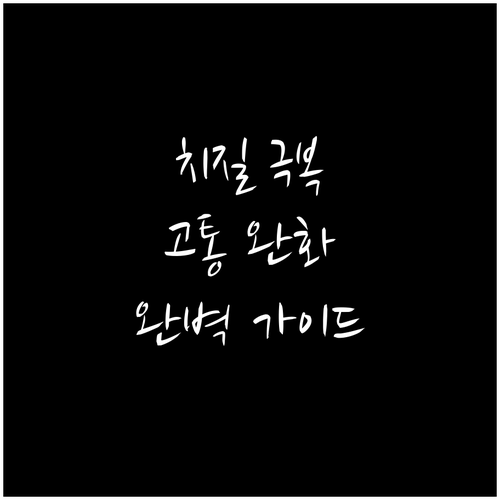 치질 극복: 통증 완화에서 생활 습관..