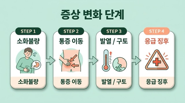 맹장염 초기 진행 위험 단계 증상 변화 정리