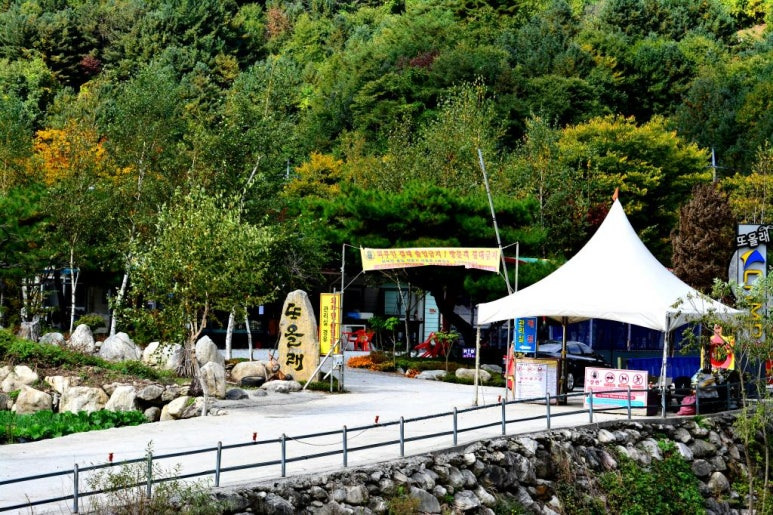 가평 자작나무숲 '또올래캠핑장' 미리보기