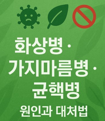 식물의 화상병, 가지마름병, 균핵병 원인과 대처법 사진