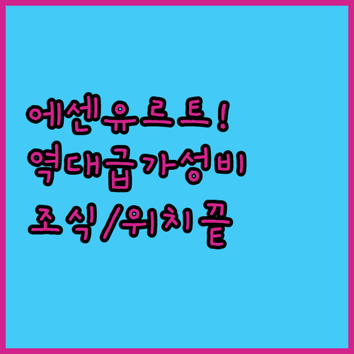 이스탄불 출장 여행객을 위한 에센유르..